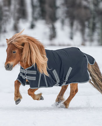 Pony- en veulendekens