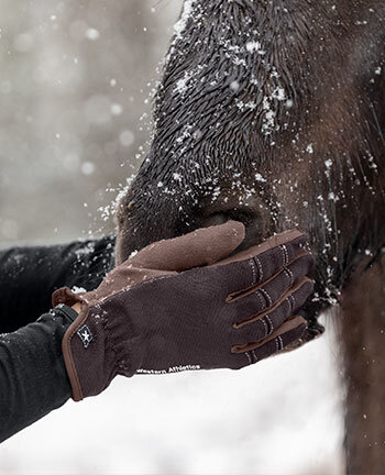 Western handschoenen