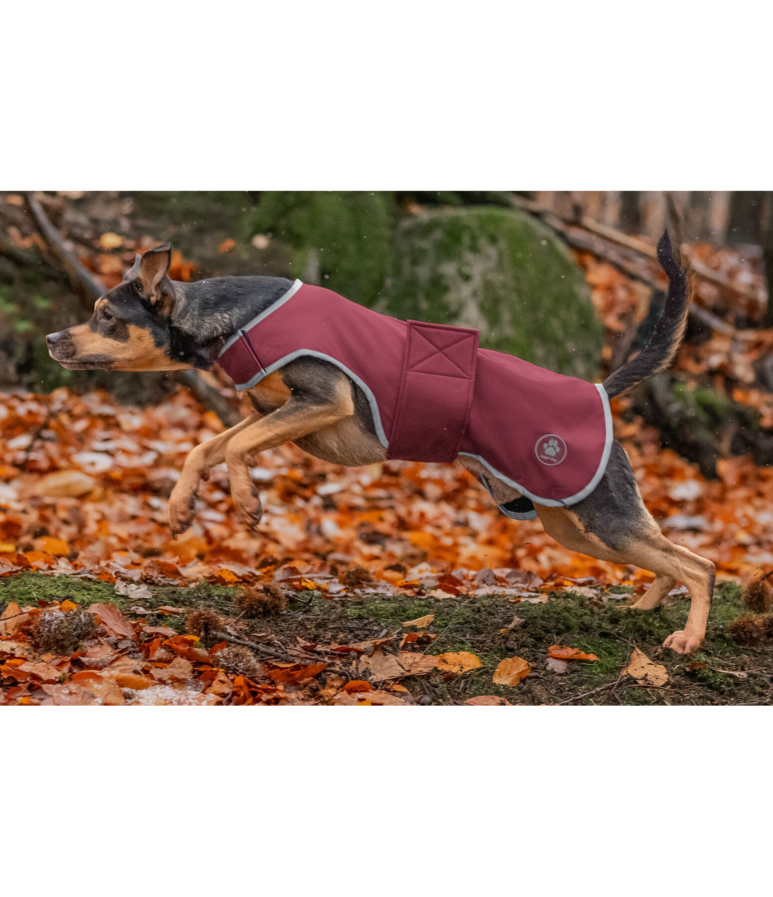 honden Softshell-Walker Athlete, 0 g