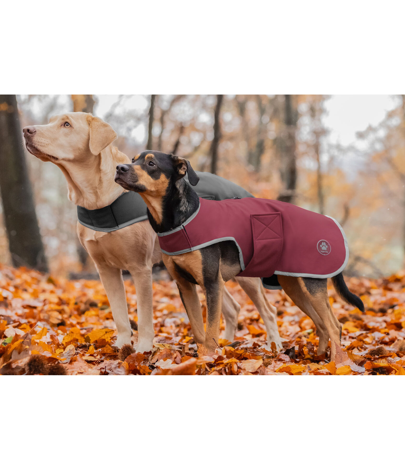 honden Softshell-Walker Athlete, 0 g