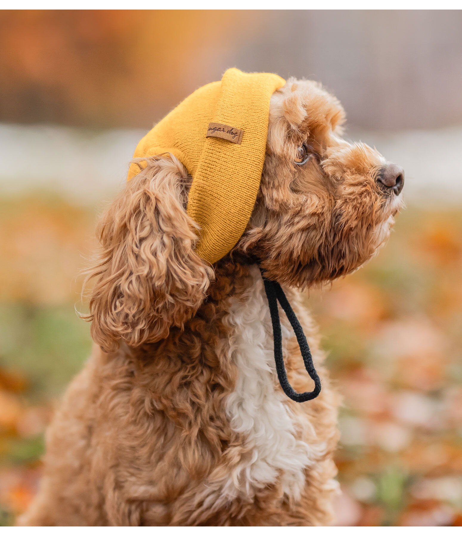 honden Beanie Evin