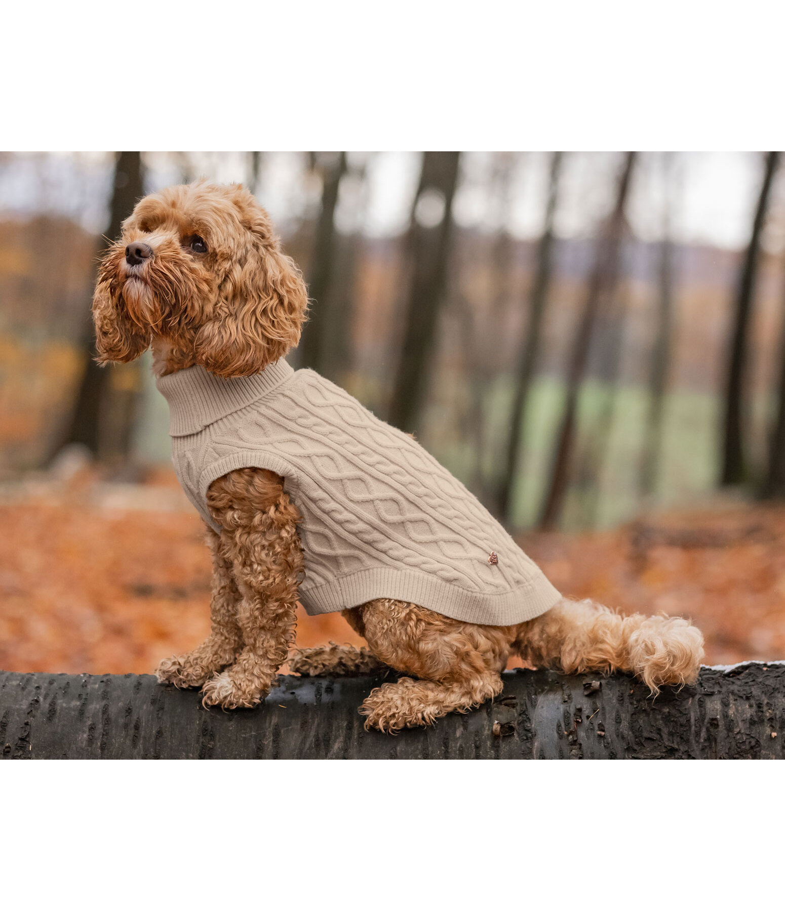 honden pullover Maisie