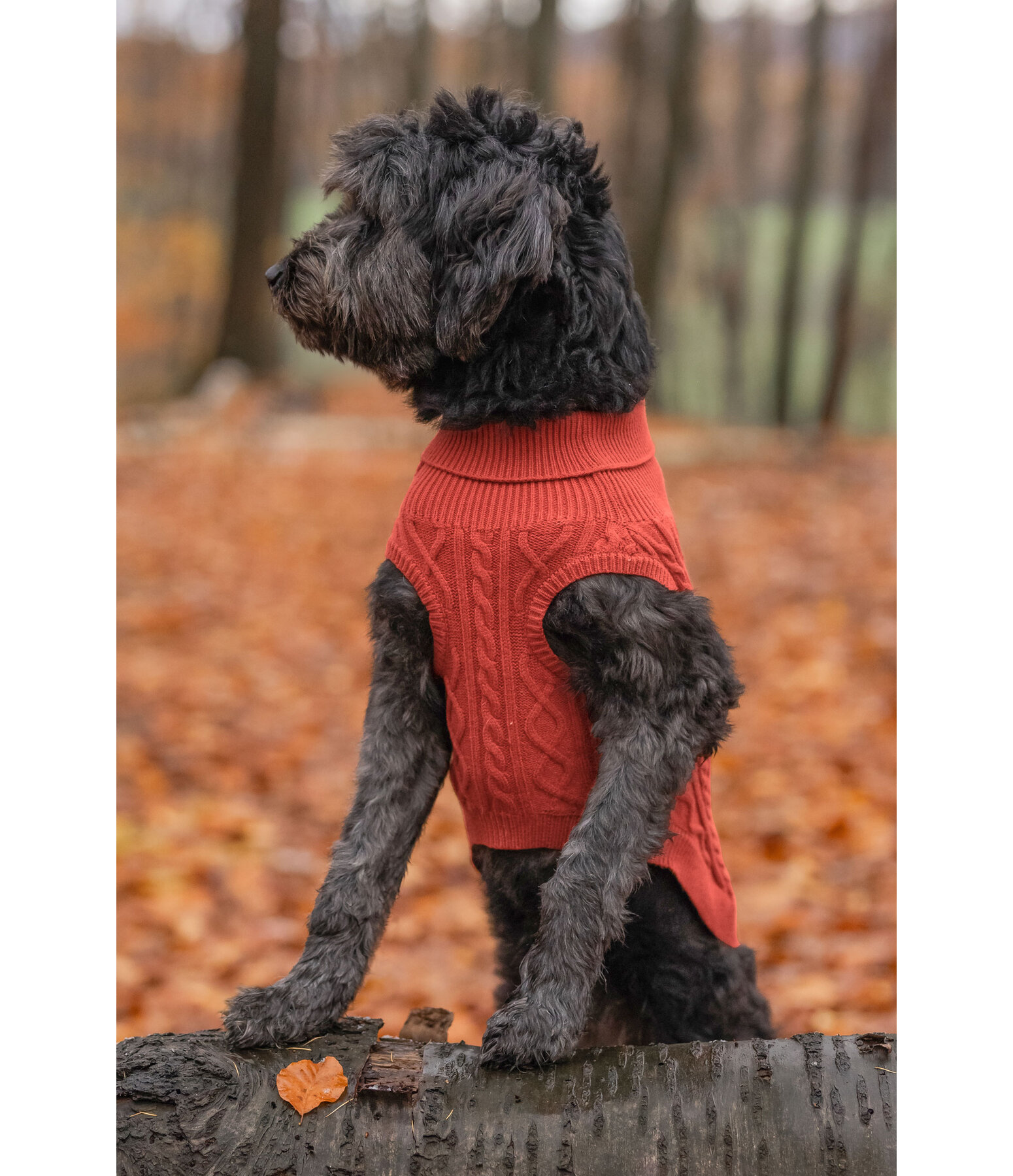 honden pullover Maisie