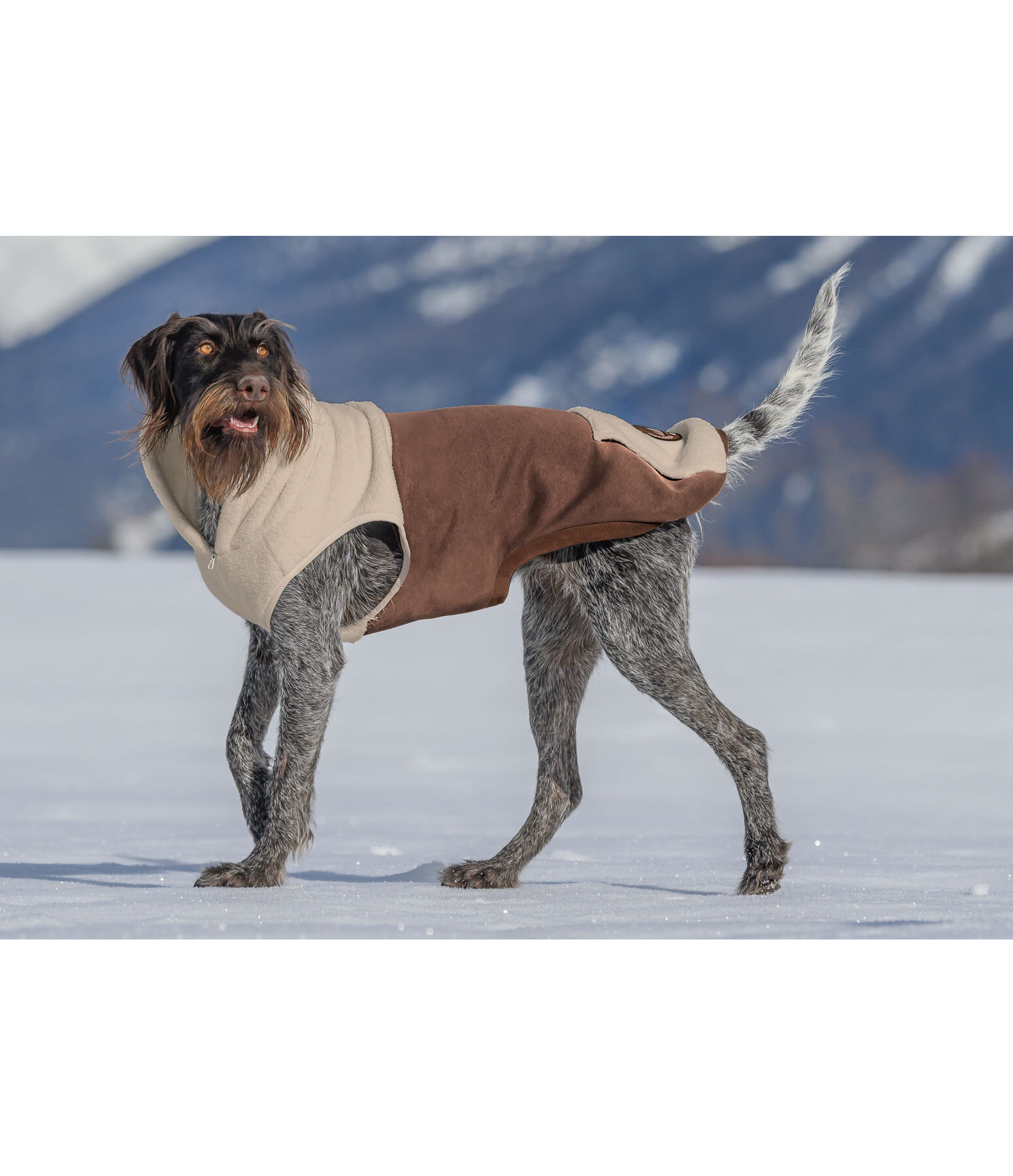 sherpa honden hoodie Sawyer