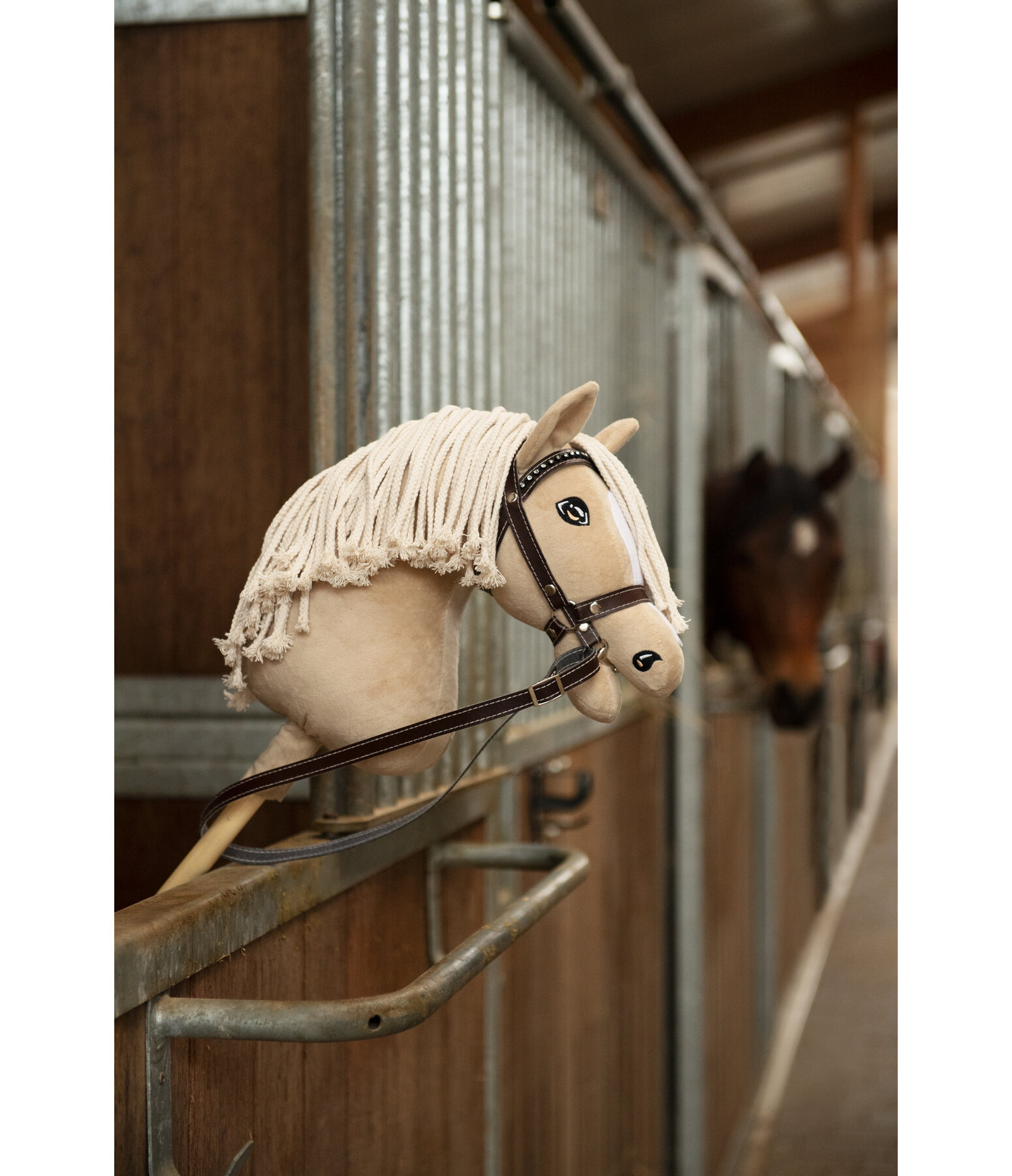 Hobby Horse Jumper