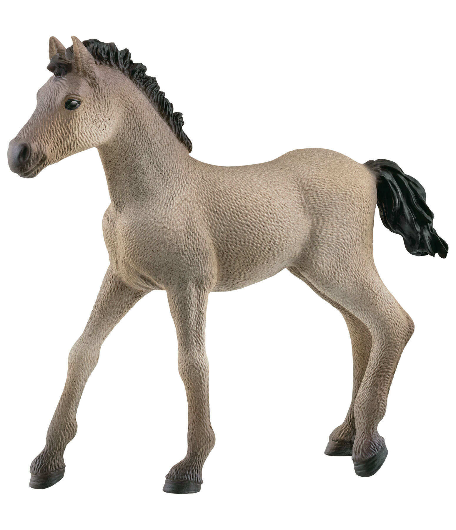 Schleich Criollo Definitivo veulen