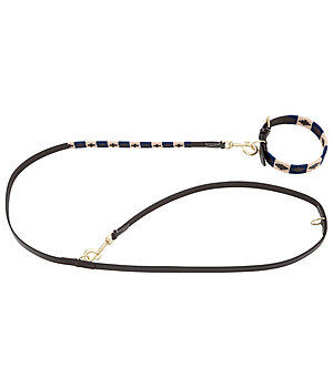 sugar dog set:  lederen hondenhalsband en -lijn Polo Sports - 230926-M-BG