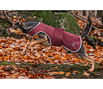 honden Softshell-Walker Athlete, 0 g