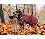 honden Softshell-Walker Athlete, 0 g