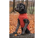 honden pullover Maisie