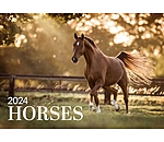 Horses Kalender 2025