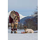 adventskalender voor paarden