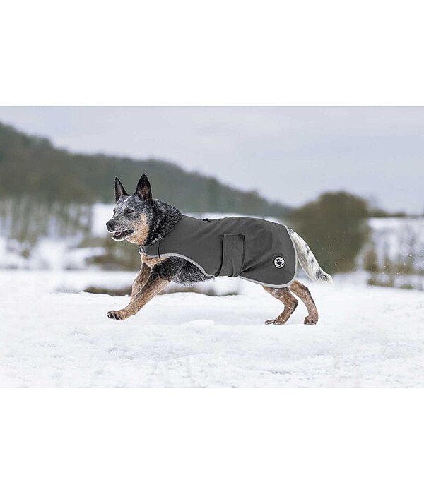 honden Softshell-Walker Athlete, 0 g