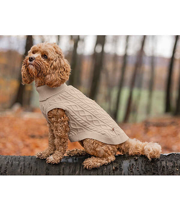 honden pullover Maisie