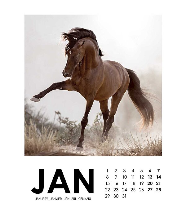 Paardenkalender 2025