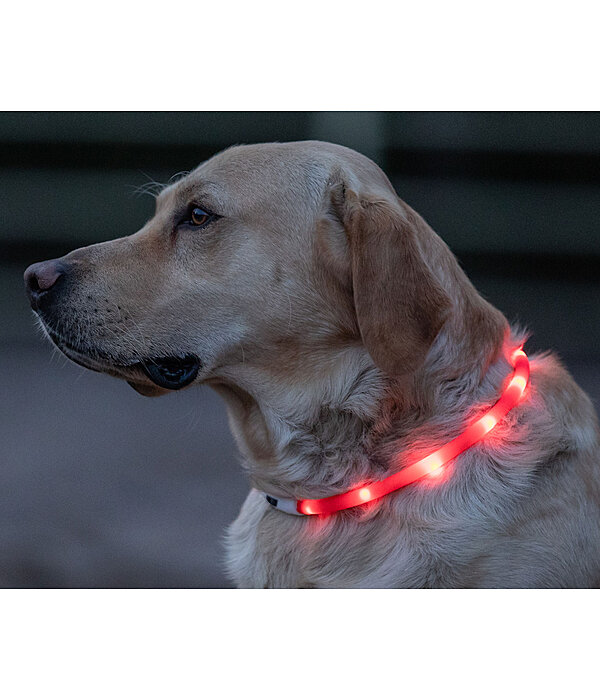 telefoon Anoi emotioneel LED halsband - Accessoires voor de hond - Kramer Paardensport