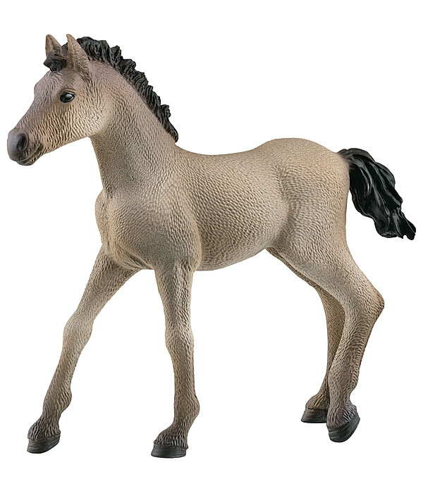 Schleich Criollo Definitivo veulen